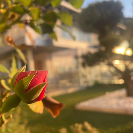 Altos De Finestrat Villa Dış mekan fotoğraf