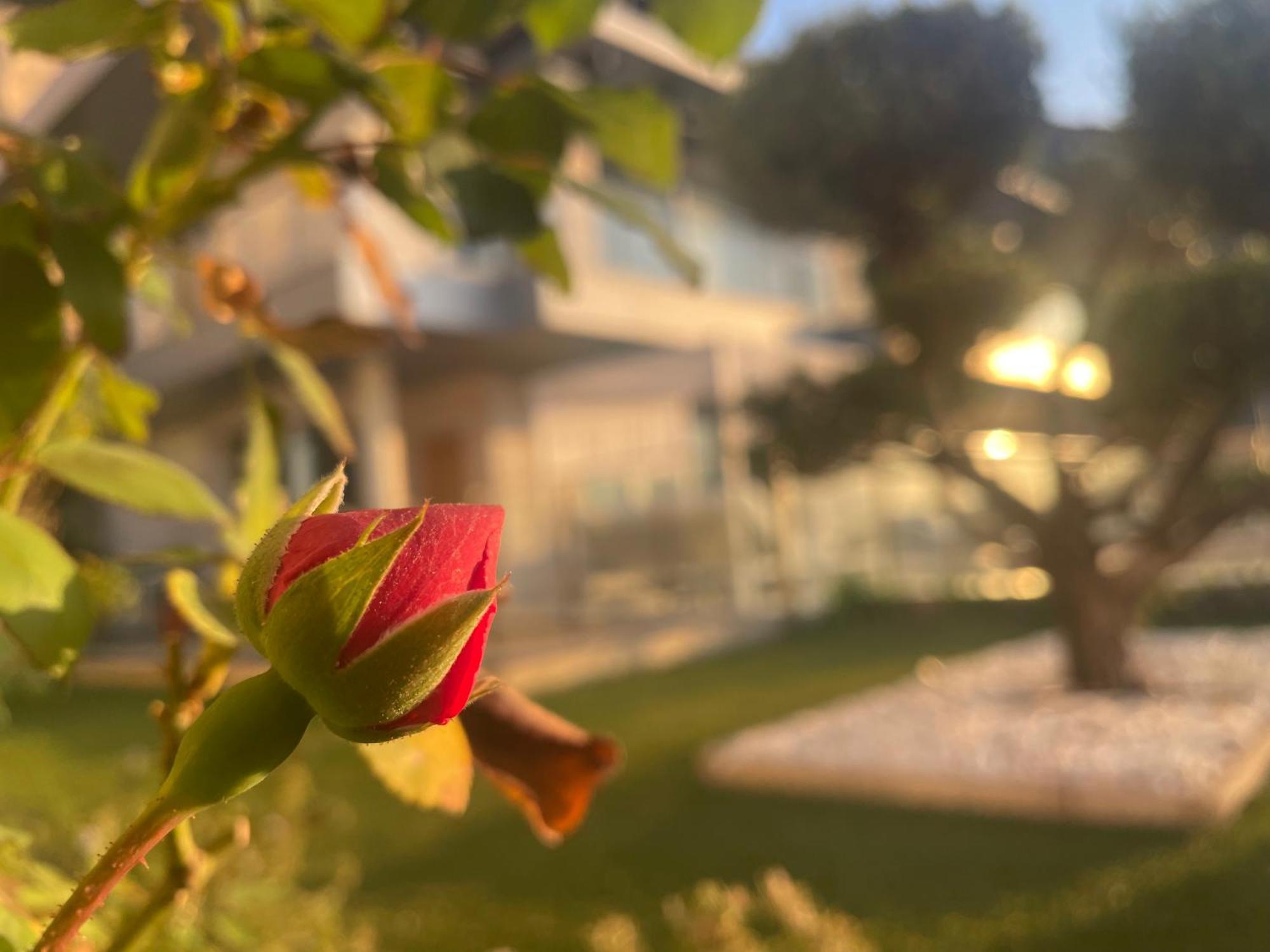 Altos De Finestrat Villa Dış mekan fotoğraf