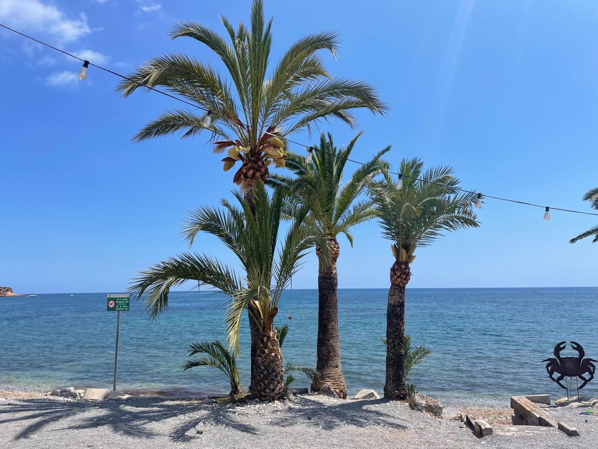 Altos De Finestrat Villa Dış mekan fotoğraf
