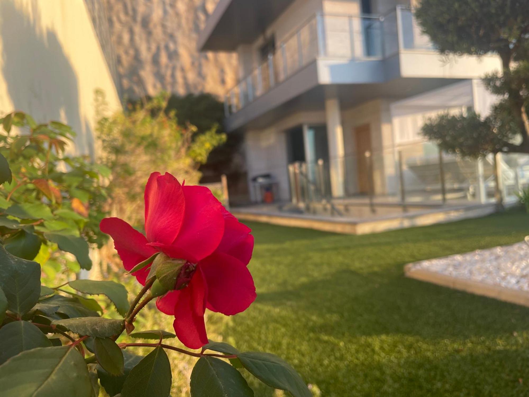 Altos De Finestrat Villa Dış mekan fotoğraf