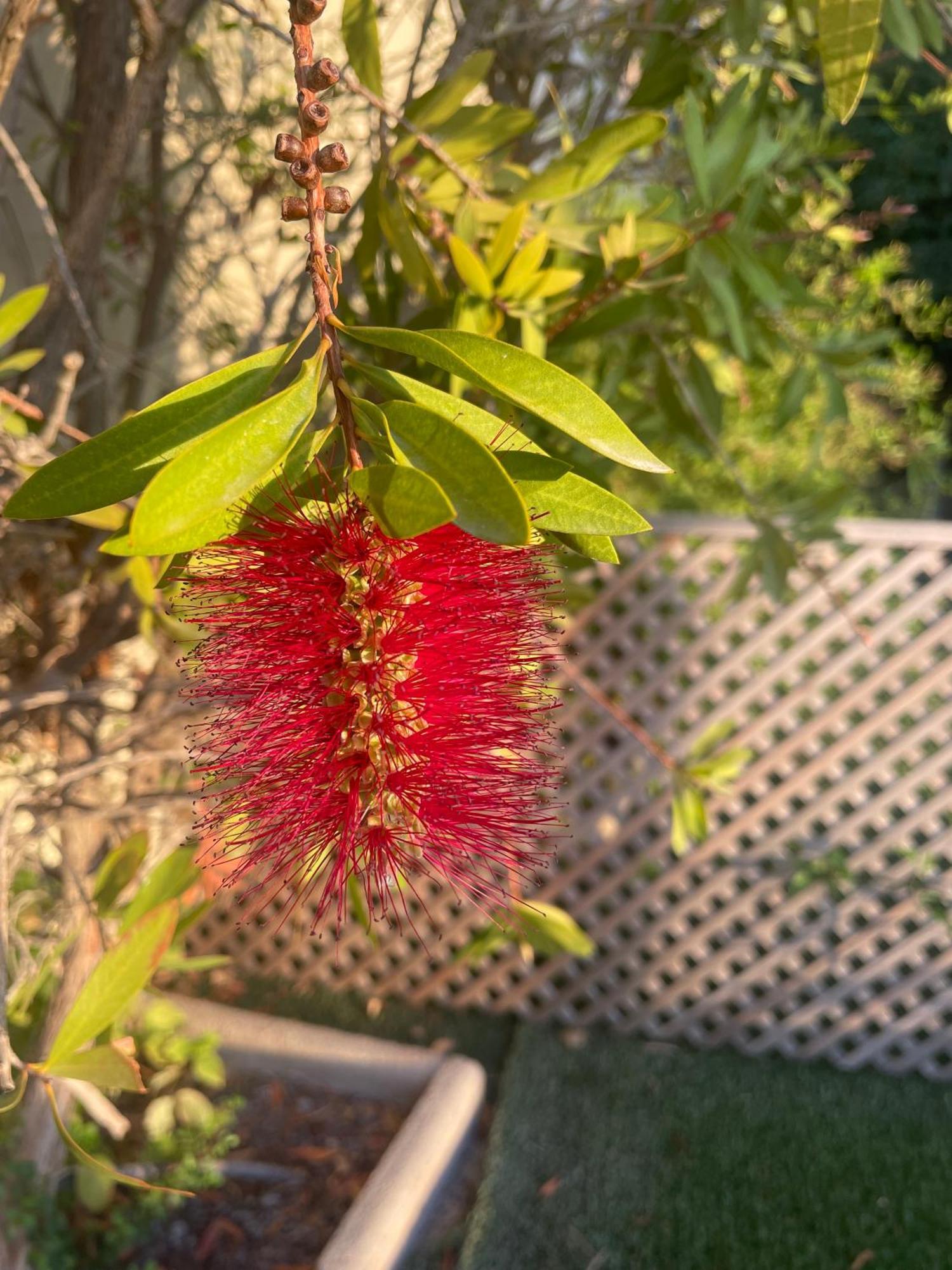 Altos De Finestrat Villa Dış mekan fotoğraf